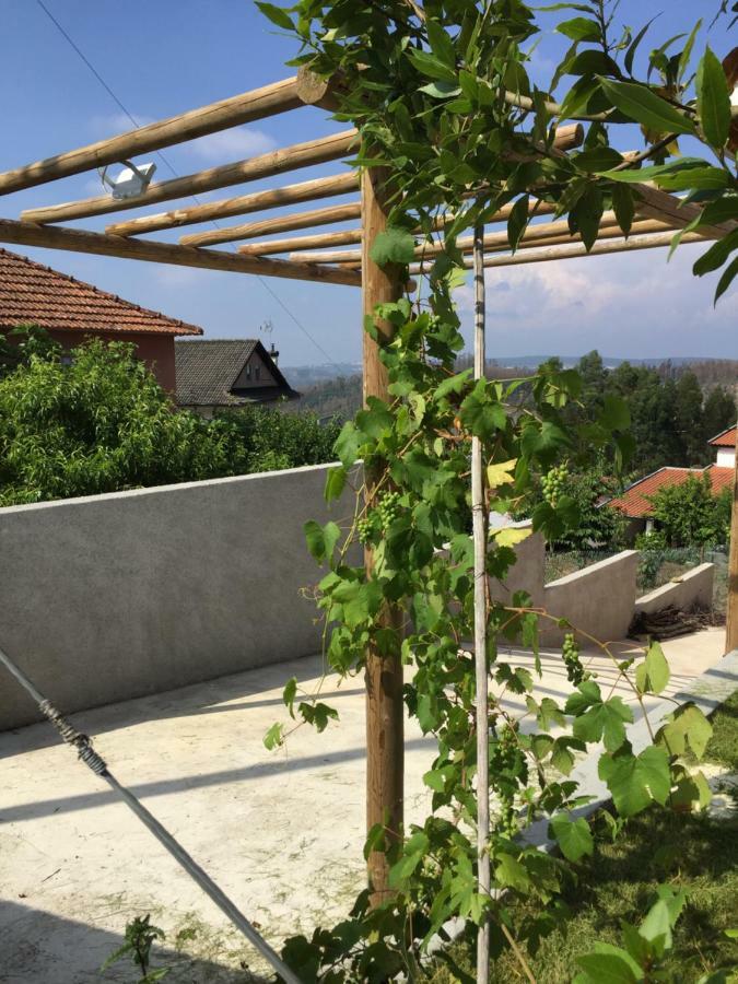 Vale Coelhos Casa De Campo Sarnadela Bagian luar foto